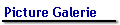 Picture Galerie